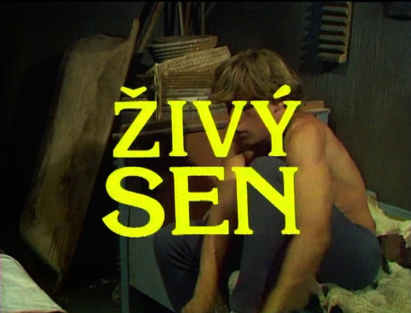 Stiahni si Filmy CZ/SK dabing Živý sen (1982)(SK)[TvRip] = CSFD 49%