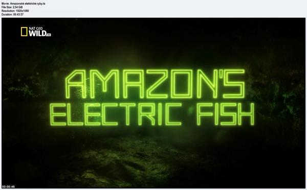 Stiahni si Dokument Amazonske elektricke ryby / Amazon's Electric Fish (2015)(CZ)[TvRip][1080p]