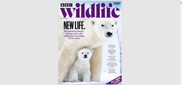 Stiahni si Knihy a Časopisy BBC_Wildlife_2021