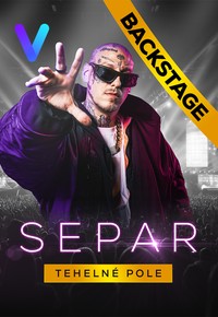 Stiahni si Dokument Separ - Tehelné pole (Backstage)(2025)(SK)[1080p][WEB-DL]