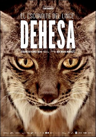 Stiahni si Dokument Dehesa: Les rysa iberského / Dehesa, el bosque del lince ibérico (2020)(SK)[TvRip][1080p] = CSFD 86%