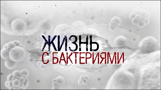 Stiahni si Dokument Život s bakteriemi / Жизнь с бактериями (2017)(CZ)[TvRip][1080p] = CSFD 50%
