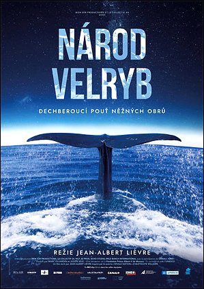 Stiahni si Dokument Národ velryb / Whale Nation (2023)(CZ)[TvRip][1080p] = CSFD 74%