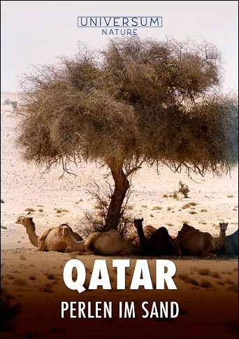Stiahni si Dokument Katar: Perly pouště / Universum: Qatar - Perlen im Sand (2022)(CZ)[TvRip][1080p] = CSFD 50%