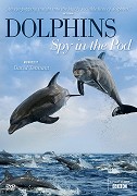 Stiahni si HD Filmy Delfini ocima špionaznich kamer / Dolphins - Spy in the Pod (2014)(CZ)[TvRip][1080pLQ] = CSFD 78%
