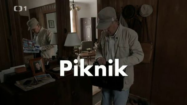 Stiahni si Filmy CZ/SK dabing Piknik (2014)(CZ)[WebRip][1080p] = CSFD 59%