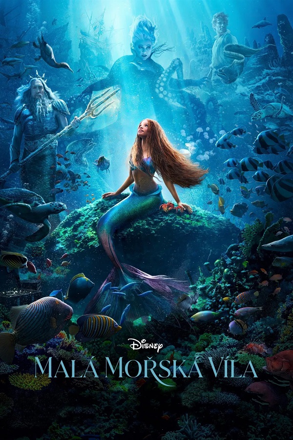 Stiahni si Filmy CZ/SK dabing Malá mořská víla / The Little Mermaid (2023)(CZ/EN)[2160p][HDR10][HEVC] = CSFD 42%