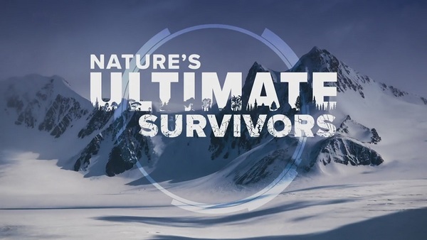 Stiahni si Dokument Zvířata vs přežití / Nature's Ultimate Survivors E1-E5 (2022)(CZ)[WebRip][1080pHD] = CSFD 82%