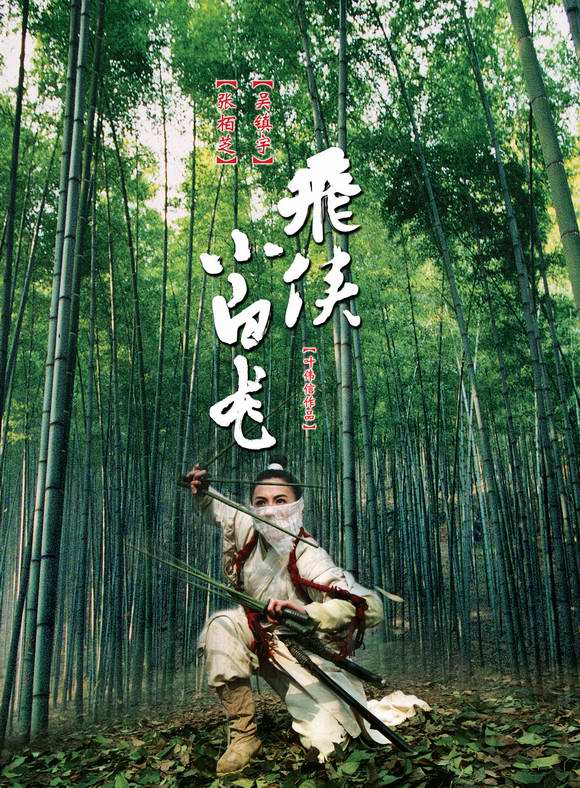 Stiahni si Filmy DVD     Bily drak / Xiao bai long qing hai fan bo (2004)(CZ) = CSFD 55%