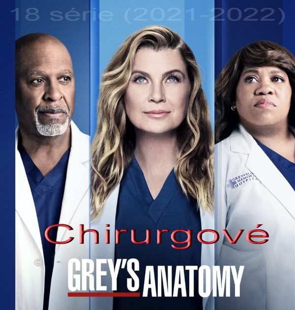 Stiahni si Seriál Chirurgove - Greys Anatomy S18E06 Everyday Is a Holiday (With You) 720p WEB = CSFD 78%