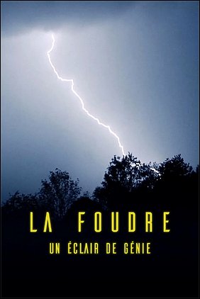 Stiahni si Dokument Netušená síla blesků / 	La Foudre, un éclair de génie (2026)(CZ)[TvRip][1080p] = CSFD 50%