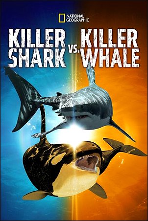 Stiahni si Dokument Kosatka versus žralok / Killer Shark vs  Killer Whale (2021)(CZ)[TvRip][1080p] = CSFD 50%