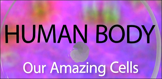 Stiahni si Dokument Tajemství lidského těla / Leben – Das Geheimnis der menschlichen Zelle (2015)(CZ)[TvRip][1080p] = CSFD 79%