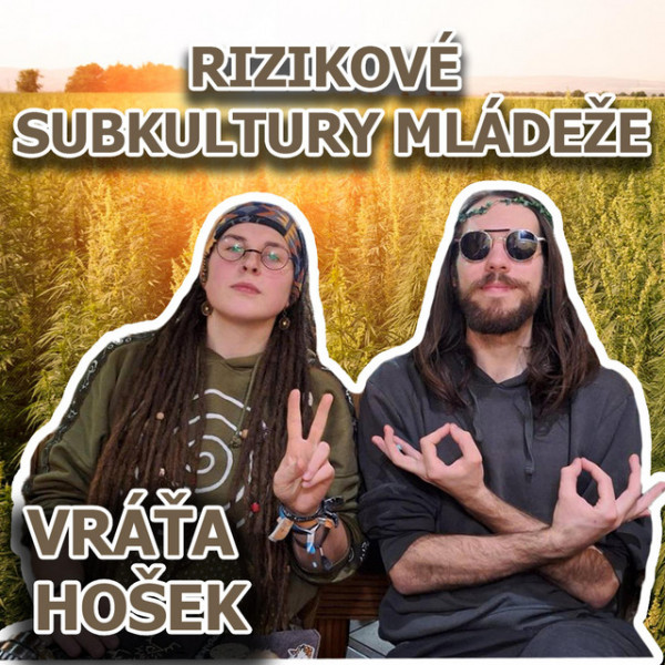 Stiahni si Hudba Vráťa Hošek - Rizikové Subkultury Mládeže (SINGLE) (2024)