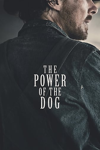 Stiahni si Filmy CZ/SK dabing  Sila psa / The Power of the Dog (2021)(CZ/EN)[WebRip][1080p] = CSFD 63%