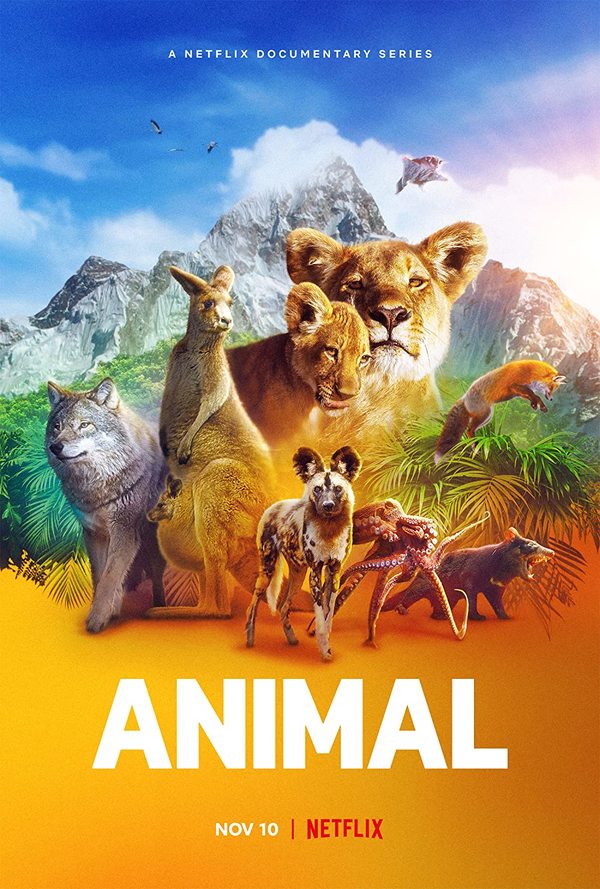 Stiahni si Dokument Divoka zvirata / Animal (S02)(2022)(1080p)(x264)(WebDL)(CZ+MultiLang)(MultiSUB) = CSFD 89%