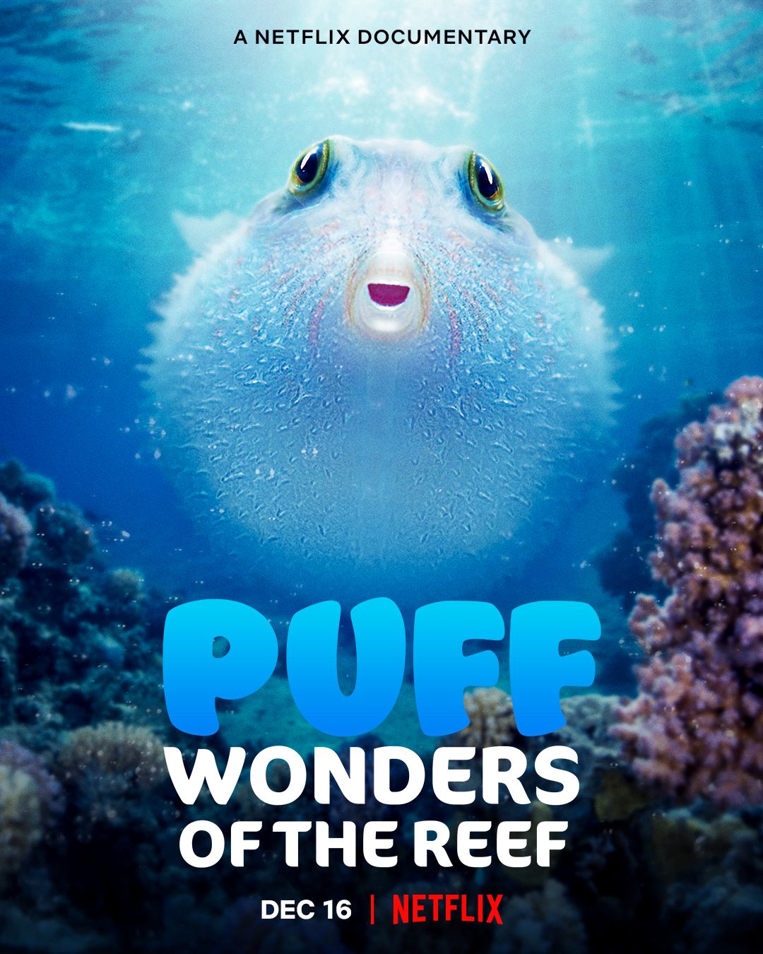 Stiahni si Filmy s titulkama  Zazraky koraloveho utesu / Puff: Wonders of the Reef (2021)[WebRip][1080p]