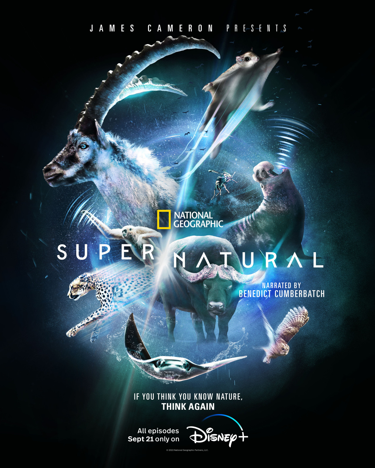 Super/Natural: Superschopnosti z rise zvirat / Super/Natural - Season 1 (CZTit)(2022)(Web-DL)[720p]