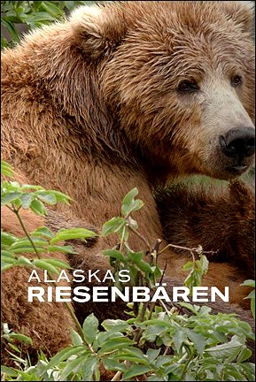 Stiahni si Dokument Medvědi z Aljašky / Alaskas Riesenbären (2022)(CZ)[TvRip][1080p] = CSFD 78%