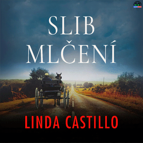 Stiahni si Mluvené slovo Linda Castillo - Případy Kate Burkholderové (2023-2024)