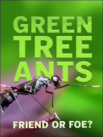 Stiahni si Dokument V říši stromových mravenců / Green Tree Ants: Friend Or Foe? (2013)(CZ)[TvRip][1080p] = CSFD 67%