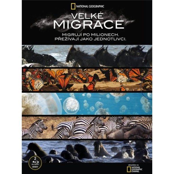 Stiahni si Dokument Velke migrace / Great Migrations(2010)(CZ/EN)[1080p] = CSFD 86%