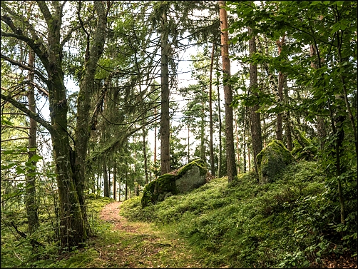 Stiahni si Dokument Severské lesy / Nordwald (2015)(CZ)[1080p][TvRip] = CSFD 80%