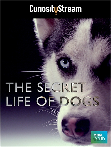 Stiahni si Dokument Tajný život psů / Secret Life of Dogs (2013)(CZ/EN)[TvRip][1080p] = CSFD 90%