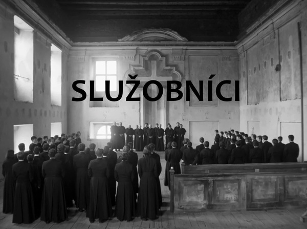 Stiahni si Filmy CZ/SK dabing Služobníci (2020)(SK)[TvRip] = CSFD 67%