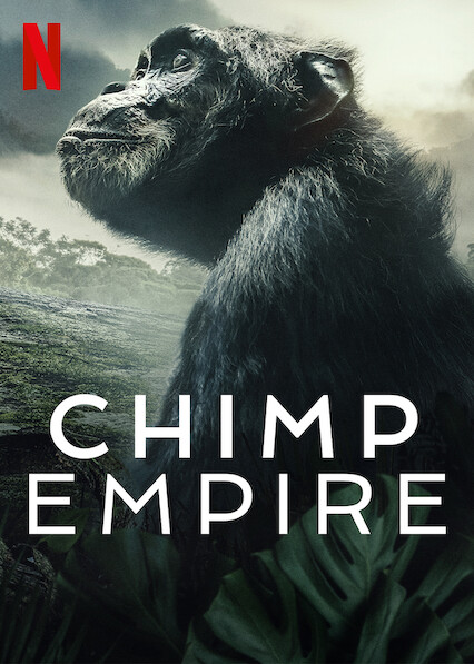 Stiahni si Dokument Šimpanzí říše / Chimp Empire (S01)(2023)[WebRip][1080p] = CSFD 89%