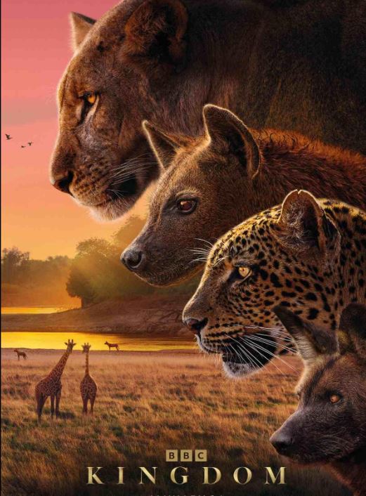 Stiahni si Dokument Kingdom 1. séria 2025 (BBC David Attenborough)