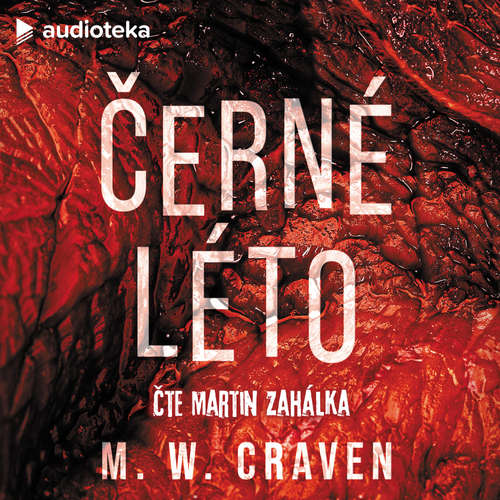 Stiahni si Mluvené slovo M. W. Craven - Washington Poe 02 - Cerné leto (2024) Oprava