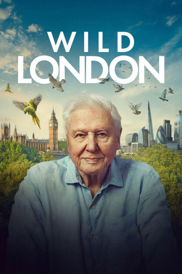 Stiahni si Dokument Wild London / Divoký Londýn (2026)(4K HDR)HLG H 265 mkv