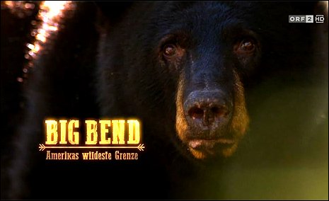 Stiahni si Dokument Národní park Big Bend / Universum: Big Bend - Amerikas wildeste Grenze (2020)(CZ/DE)[TvRip][1080p] = CSFD 83%
