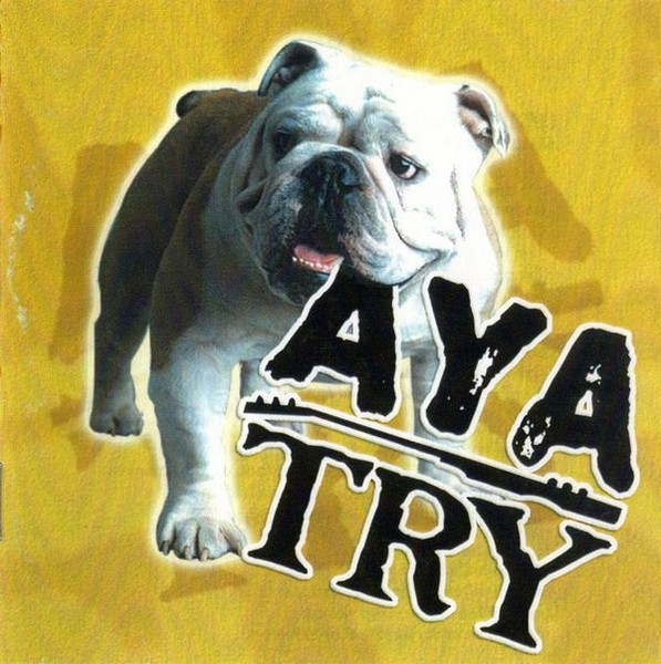 Stiahni si Hudba AYA - Try (2000)