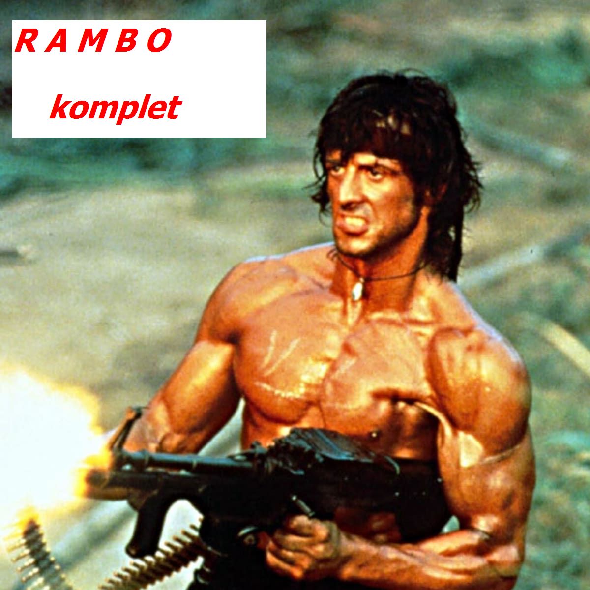 Stiahni si Filmy CZ/SK dabing Rambo (filmovy komplet,1080p,CZ) = CSFD 85%