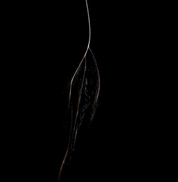 Stiahni si Mluvené slovo Ferjancekova Terezia & Kasparova Zuzana - Vyhonit dabla o vztazich sexu a intimite(2d9h17m)=107%