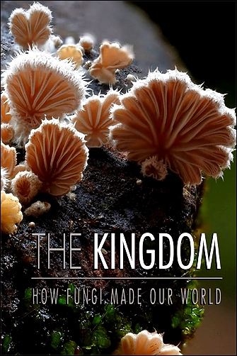 Stiahni si Dokument Jak houby stvořily náš svět / The Kingdom: How Fungi Made Our World (2017)(CZ)[TvRip][1080p] = CSFD 83%