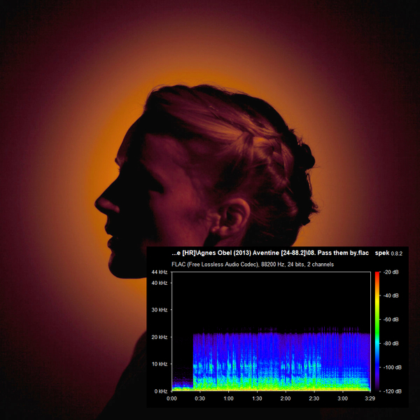 Stiahni si Hudba Agnes Obel - Aventine (2013)[FLAC] 
