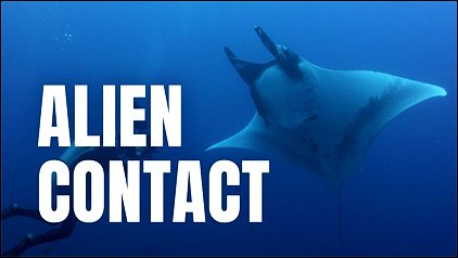 Stiahni si Dokument V říši manty obrovské / Alien Contact (2023)(CZ)[TvRip][1080p] = CSFD 78%