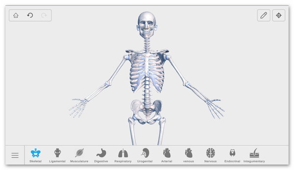 Stiahni si Mobil, PDA Visual Anatomy 3D - Human body 3.56 build 78 [Premium]