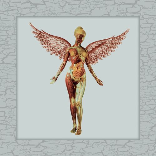 Stiahni si Hudba Nirvana - In Utero (30th Anniversary Super Deluxe) (3 CD) - 2023, FLAC 