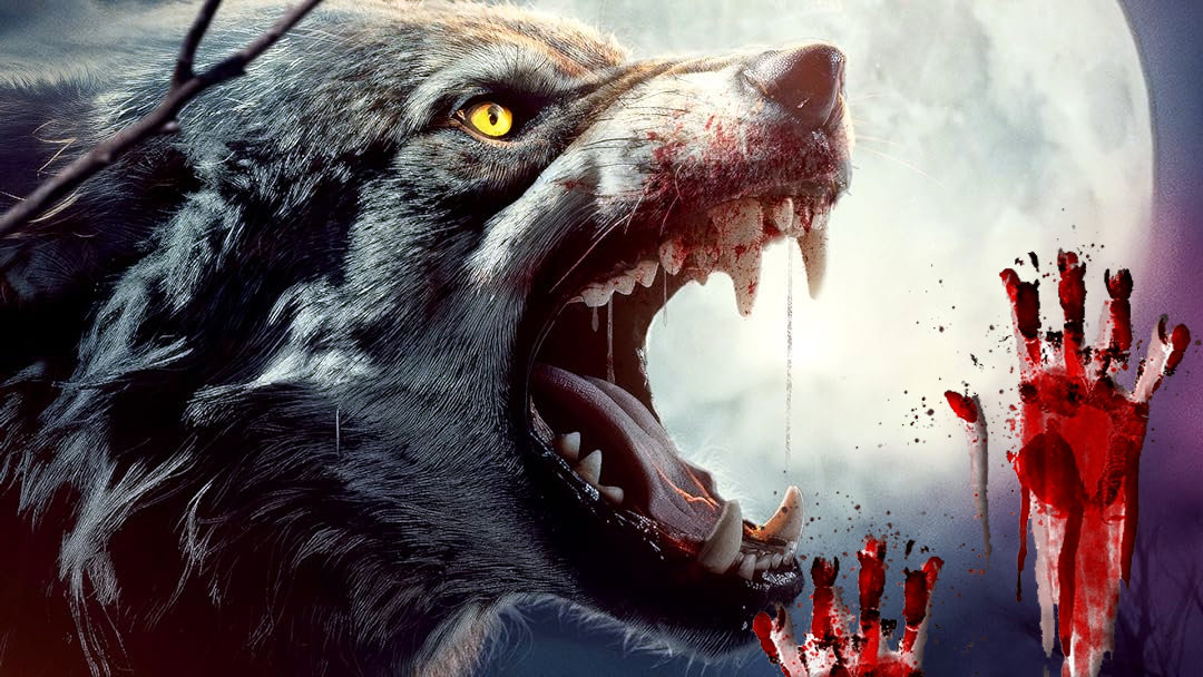 Stiahni si Ostatní Pozor, Predátori! - VLCI v akcii (reálne / autentické video zábery) MP4 (2025)