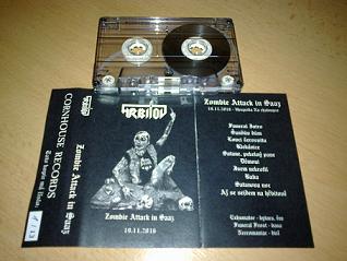 Stiahni si Hudba Hřbitov - Zombie Attack in Saaz (2016)