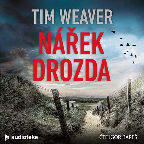 Stiahni si Mluvené slovo Tim Weaver  - David Raker 12 - Nářek drozda
