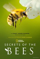 Stiahni si Dokument Tajemství včel - Secrets of the Bees (2026)[1080p] = CSFD 97%