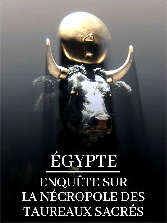 Stiahni si Dokument Egypt: Pohřebiště posvátných býků / Égypte - Enquête sur la nécropole des taureaux sacrés (2022)(CZ)[TvRip][720p] = CSFD 70%