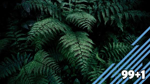 Stiahni si Mluvené slovo Josef Čapek - Stín kapradiny (2h24m)