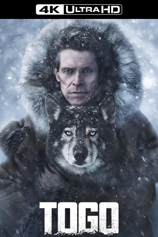 Stiahni si Filmy CZ/SK dabing Togo (2019)(CZ/SK/EN)[2160p][WebRip][HEVC] = CSFD 80%