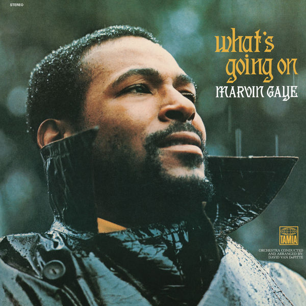 Stiahni si Hudba Marvin Gaye - What's Going On (2014)